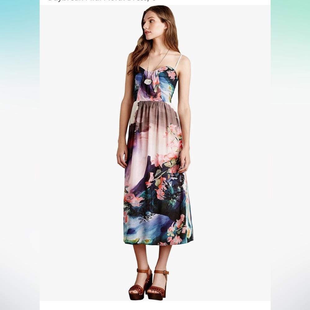 CoreyLynnCalter Anthropologie Daybreak Floral Midi Dress Landscape Print size 4